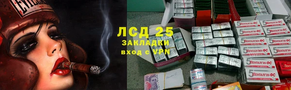 прущие грибы Абинск