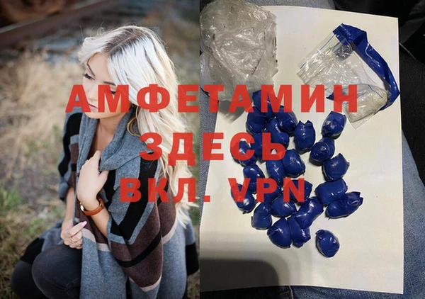 прущие грибы Абинск