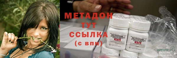 прущие грибы Абинск