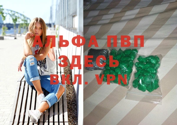 прущие грибы Абинск