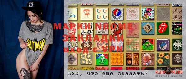 прущие грибы Абинск