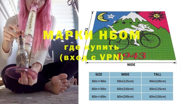 прущие грибы Абинск