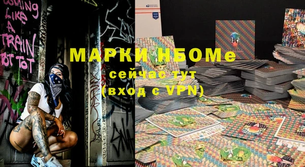 прущие грибы Абинск