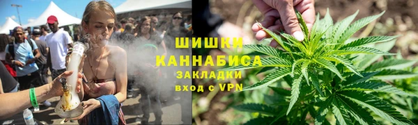 прущие грибы Абинск