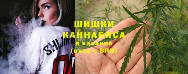 прущие грибы Абинск