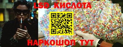дмт Шелехов