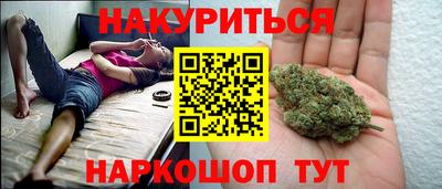 дмт Шелехов