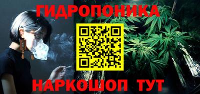дмт Шелехов
