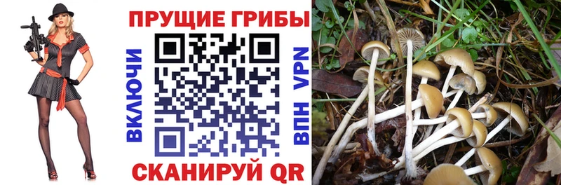 что такое   Батайск  кракен рабочий сайт  Галлюциногенные грибы GOLDEN TEACHER 