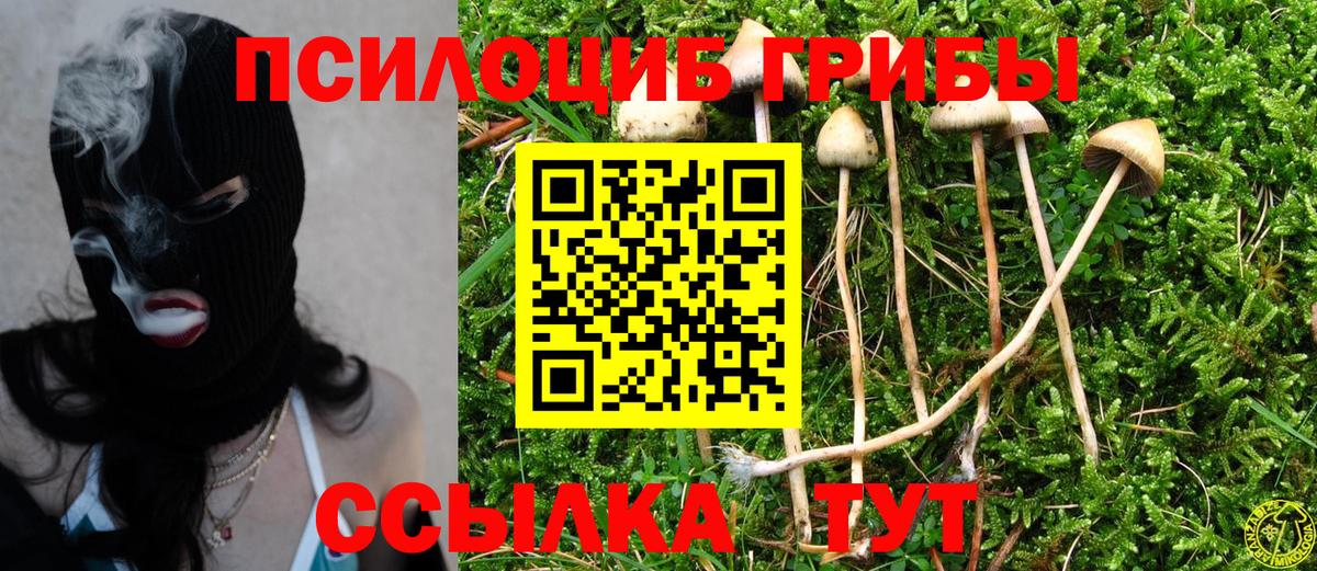Батайск  Псилоцибиновые грибы GOLDEN TEACHER  Псилоцибиновые грибы Psilocybine cubensis  Вход с VPN 